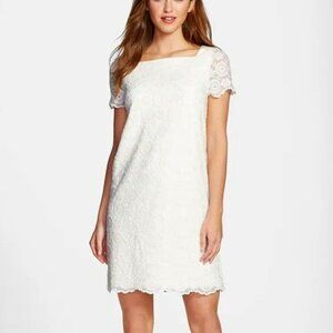 Maggy London Women's Lace Shift Dress - 10
